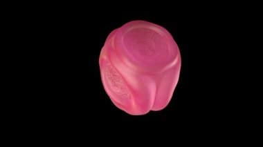 3D menekşe poleni çizimi