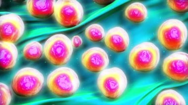 3d MRSA Bakteri veya Süper Böcek Bakterisi