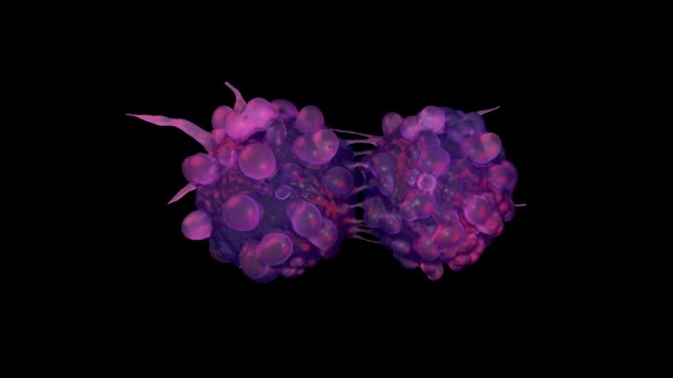 膀胱癌细胞3D特写 — 图库视频影像