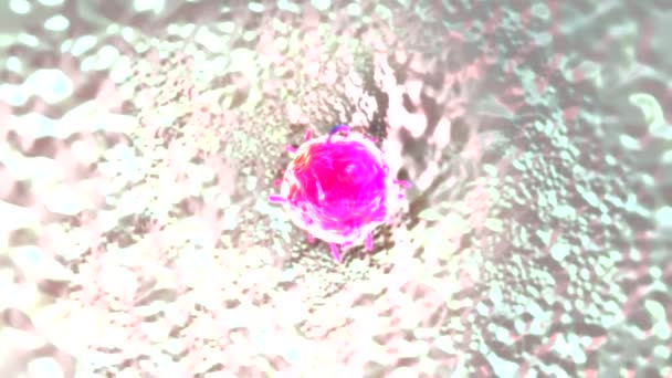Эмбриональных Стволовых Клеток — стоковое видео