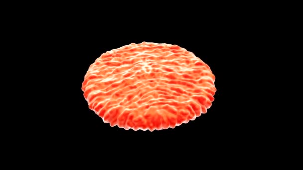 アルストロエメリアの別の花粉の3D — ストック動画