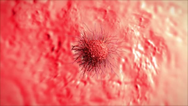 Kanser Hücrelerinin Yakın Çekimi — Stok video
