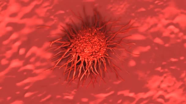 Крупный План Раковых Клеток — стоковое видео