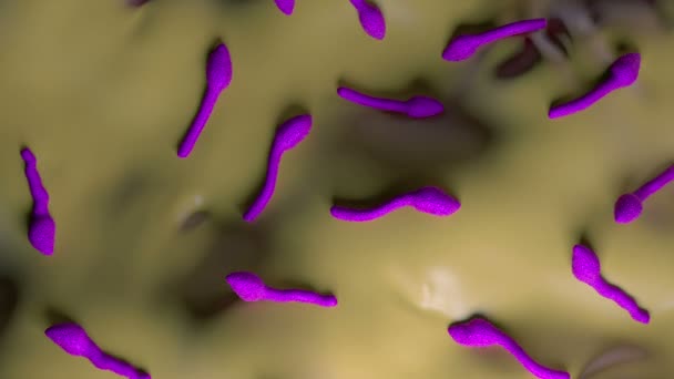 Clostridium Tetani Bacterium — 비디오