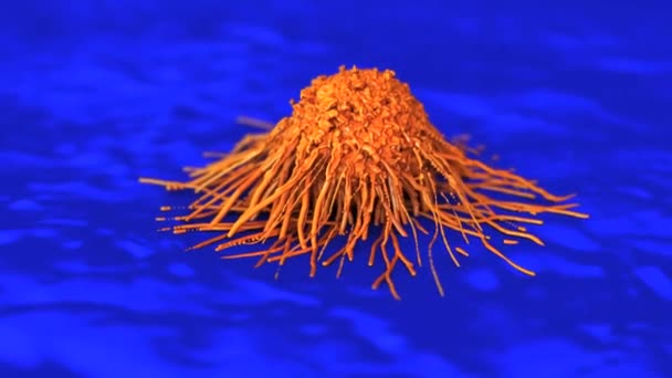 Close Células Cancerosas — Vídeo de Stock