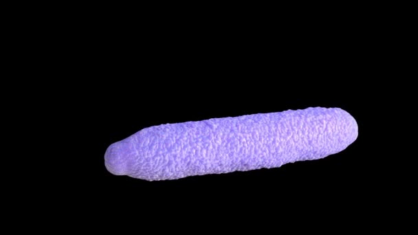 Close Van Anthrax Bacteriën — Stockvideo