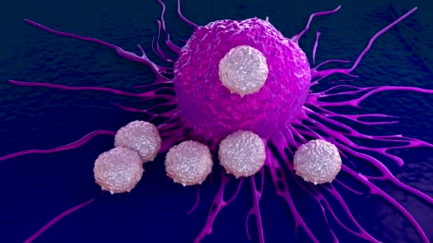 T淋巴细胞和癌细胞的3D特写 — 图库视频影像