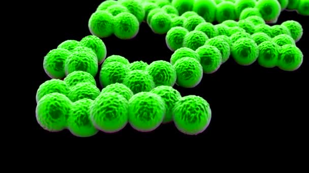 Superbug Nebo Bakterie Staphylococcus Aureus Mrsa — Stock video
