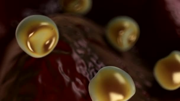 茴香花药和花粉 3D渲染 — 图库视频影像