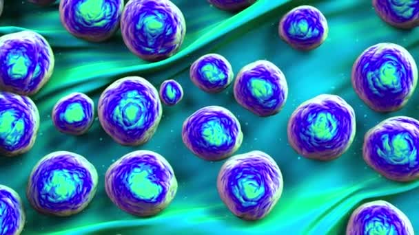 Dari Bakteri Mrsa Atau Bakteri Super Bug — Stok Video