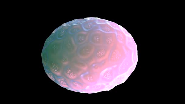 线虫卵的3D渲染 — 图库视频影像