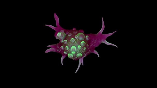 膀胱癌细胞3D特写 — 图库视频影像