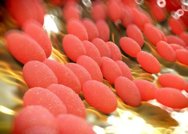 3D görüntüleme - asetobacter bakteri