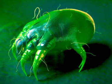 3D görüntüleme - toz böceği