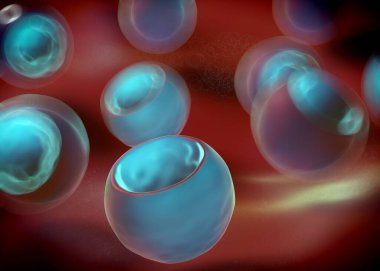 3d oluşturma - bakteri hücreleri