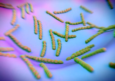 Streptococcus pneumoniae, bakteri sanat