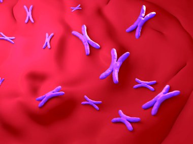 Bir insan kromozomu yakındır.