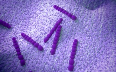 Streptococcus pneumoniae, bakteri sanat