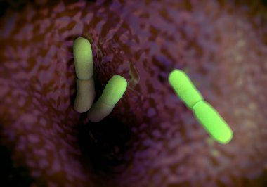 Yersinia pestis bakterisi, sanat eseri