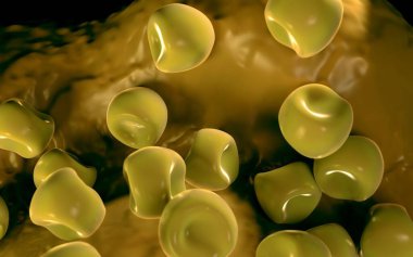  Bilinen Anter ve polen