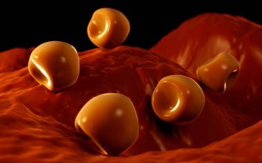  Bilinen Anter ve polen