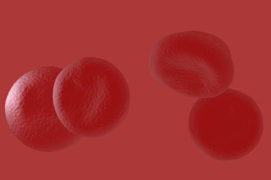 kırmızı kan hücreleri yüksek detay çizimi 
