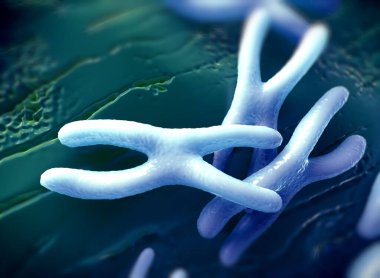 Kromozomlar genetik materyal DNA 'sının bir paketlenmiş halidir.
