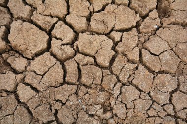 Kuru toprakta çatlaklar