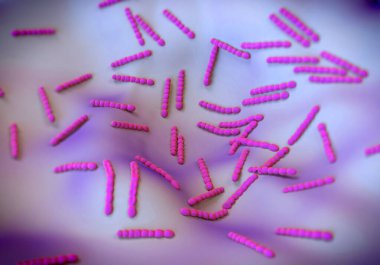 Streptococcus pneumoniae, bakteri sanat