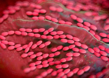 3D görüntüleme - asetobacter bakteri