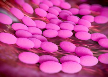 3D görüntüleme - asetobacter bakteri