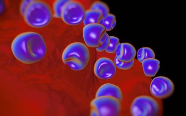 Aconite anter ve polen - 3D görüntüleme