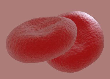 kırmızı kan hücreleri yüksek detay çizimi 