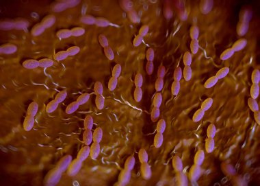 3D görüntüleme - asetobacter bakteri