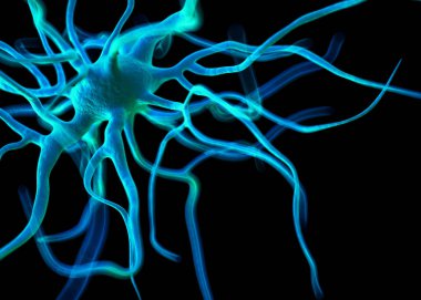 Sinir sisteminin bir kısmını oluşturan nöron veya sinir hücreleri elektriksel ve kimyasal sinyallerle bilgi iletir ve işler..