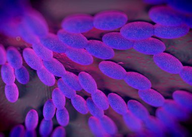 3D görüntüleme - asetobacter bakteri