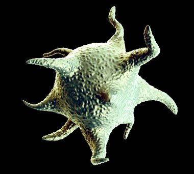 3D illüstrasyon - Etkin trombositler