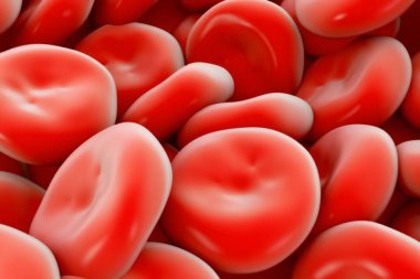 kırmızı kan hücreleri yüksek detay çizimi 