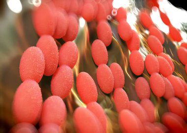 3D görüntüleme - asetobacter bakteri