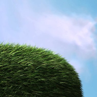 yeşil çim alanın görüntü 