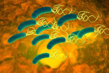 closeup of Helicobacter pylori bacterium  clipart