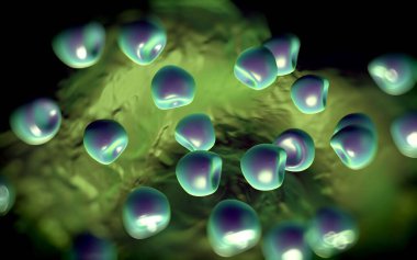 Aconite anter ve polen - 3D görüntüleme