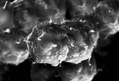 Embriyonik Kök Hücrelerin 3d çizimi