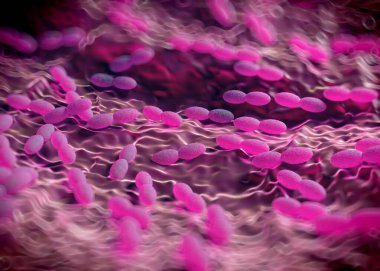 3D görüntüleme - asetobacter bakteri