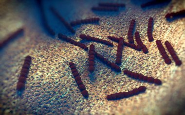 Streptococcus pneumoniae, Gram-pozitif koküs şekilli patojenik bakteridir ve zatürreye ek olarak pnömokok enfeksiyonlarına neden olur. .