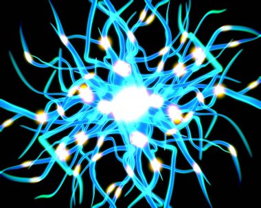 sinir hücreleri ve sinir sistemi kavramı.