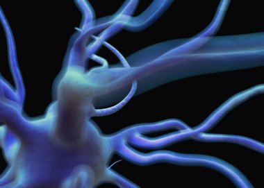 Sinir sisteminin bir kısmını oluşturan nöron veya sinir hücreleri elektriksel ve kimyasal sinyallerle bilgi iletir ve işler..