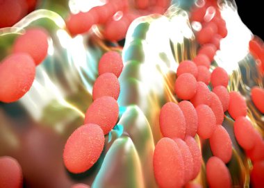 3D görüntüleme - asetobacter bakteri