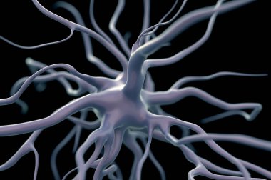 3d Hazırlama - Etkin sinir hücreleri