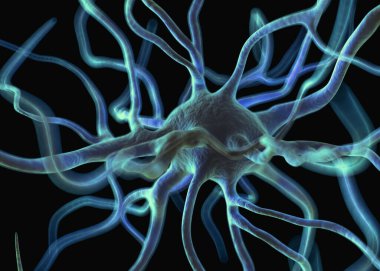 Sinir sisteminin bir kısmını oluşturan nöron veya sinir hücreleri elektriksel ve kimyasal sinyallerle bilgi iletir ve işler..